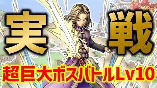 【ドラクエタクト】最強勇者イレブン実戦投入！超巨大ボスバトル Lv10 【真・DQ11イベント】