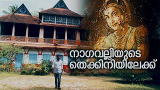 Alummoottil meda| ആലുംമൂട്ടില്‍ മേട