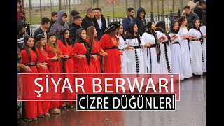 ŞİYAR BERWARİ - Cizre Düğünleri - 2020 - Aşan Ailesi PART 3