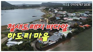 구좌읍 하도리  철새도래지 바로앞 대지267평