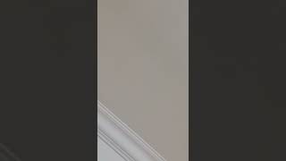 A marble drop sound at the ceiling on my room.