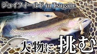 【冬・JF Tsugane】ジョイフィールド in Tsuganeで大物に挑む【OMT Oh my Trout】