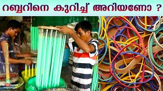 റബ്ബറിനെ കുറിച്ച് അറിയണോ ? | Want to know more about rubber band ? | Kaumudy