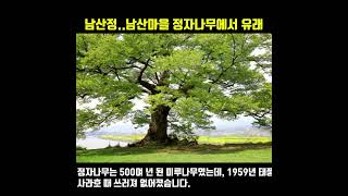 남산정..남산마을에 정자나무가 있어 유래되었습니다