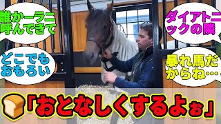 『壁破壊の常習犯パンサラッサ！！』に対するみんなの反応集【競馬の反応集】