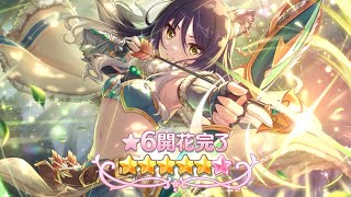 ［回坑］6星小栞 解放關卡 ［超異域公主連結☆Re:Dive］