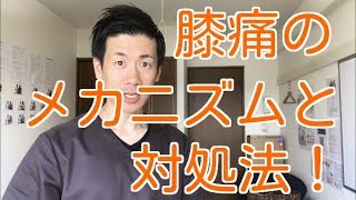 膝痛のメカニズムと対処法