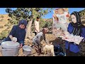 Why was the grandmother upset with shekofeh? 20-day-old baby was forced to move to the mountains!