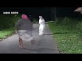 jebakan pocong paling lucu di indonesia new ghost prank