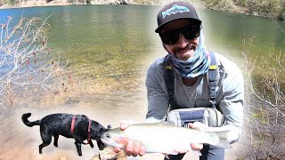 Chevelon Canyon Lake Fishing