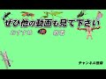 日本最大種は外国虫 キレイで大きなカメムシ見つけた！【キマダラカメムシ】