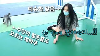 슈화) 하쿠야 한 번에 잘해야지...!!ㅠㅠ Ⅰ 조금 늦은 아멍대 비하인드 #2