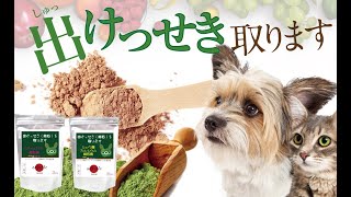 【犬・猫の結石でお悩みの飼い主様・必見！】無添加・有機のサプリでサポート「出けっせき 取ります」