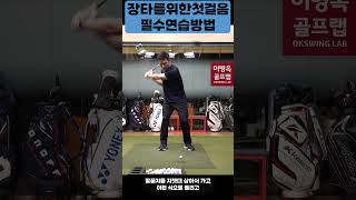 드라이버 장타를 위한 반드시 해야하는 연습! #shorts #핵심타격구간 #드라이버장타 #이병옥프로