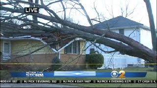 Storm Downs Trees On Long Island