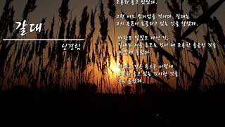 🧡제노비아 시낭송 / 갈대 / 신경림