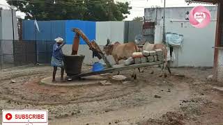 மரச்செக்கு எண்ணெயின் நன்மைகள் |importance of Maraccekku oil in Tamil| Woodcut oil uses/தமிழ்காதலன்