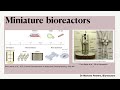 Miniature bioreactors