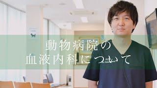 【アニマルクリニックこばやし】当院の血液内科について