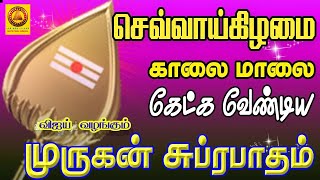 ஆடிச்செவ்வாய் கிழமை கேட்கவேண்டிய சிறப்பு சூப்பர்ஹிட் முருகன் பாடல்கள் Murugan Suprabatham