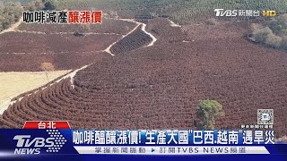 巴西.越南旱災衝擊! 咖啡產量大減「恐釀漲價」｜十點不一樣20241022