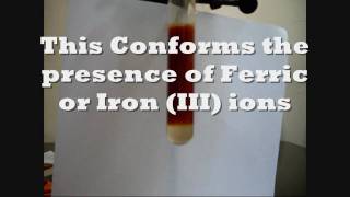 Distinguishing between Ferrous and Ferric ions