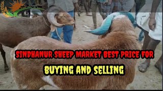 @Mahiravolgs sindhanur sheep Market 25/07/2022