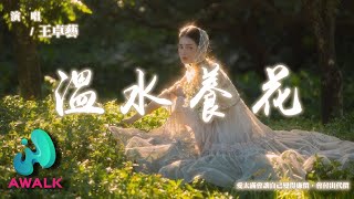 王卓藝 - 溫水養花『愛太滿會讓自己變得廉價，會付出代價。』【動態歌詞 | Pinyin Lyrics】【AWALK MUSIC】