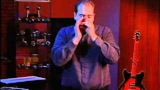 Harmonica bending notes - David Barrett.MP4