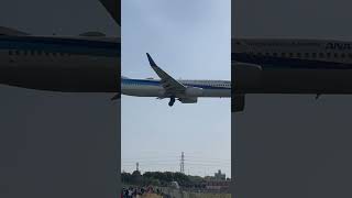 ANA B737-800 伊丹空港へ着陸直前のシーンです。