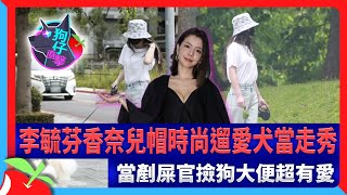 狗仔直擊｜李毓芬香奈兒帽時尚遛愛犬當走秀　當剷屎官撿狗大便超有愛 | 台灣新聞 Taiwan 蘋果新聞網