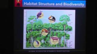 Vegetation Structure/Biomass/GEDI