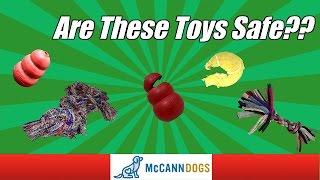 Dangerous Toys For Dogs