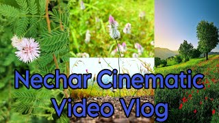 Nechar Cinematic Video Shoot Vlog NishadVlog #cinematic#nechar #thekrazzyboy #nishadvlog