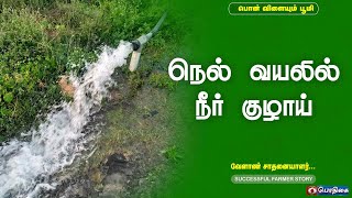 Water Pipe in Paddy Field | நெல் வயலில் நீர் குழாய் | Successful Farmer Story