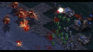 DAY 98 FUSS! Best! RoyaL! Hiya! Stork! Scan! ZeLot! FFA! FME! UMS! - StarCraft - Brood War - 2025