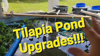 Tilapia pond upgrades / updates