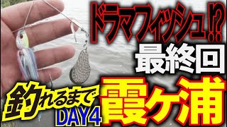 【霞ヶ浦／本湖】DAY4　遂に本湖バスが！スピナーベイトフィッシュ！！【釣れるまでフィールド変えれま10】