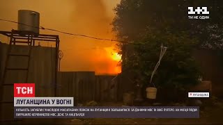 Уже п'ятеро осіб загинули внаслідок масштабних пожеж у Луганській області