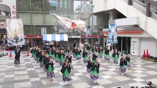 【4K】茜丸×明星『ラストパレード』｜町田夢舞生ッスイ祭2024第20回記念大会　小田急会場1回目