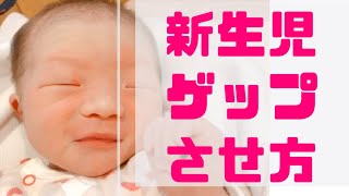 新生児１日目ゲップの方法　助産師さん流