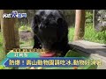 熱爆！壽山動物園請吃冰.動物好消暑－民視新聞