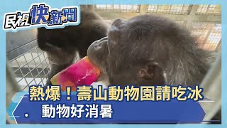 熱爆！壽山動物園請吃冰.動物好消暑－民視新聞