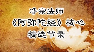 【阿弥陀经核心】目标与方法 | 圆满幸福人生指导手册