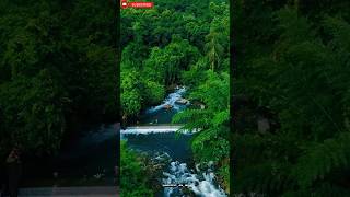 📌T.K Colony, Nilambur, Kerala🏞️| Hidden Gem Of Kerala🌴🌊| Famous Waterfall In Kerala😍@DESTINY_04_10