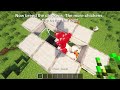 easy automatic chicken farm in minecraft 1.21 tutorial