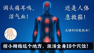 按小拇指1处，激活全身19穴！调头痛耳鸣、活气血，简直是人体“急救箱”| 乳腺炎｜耳鸣｜头痛｜活气血｜心火｜中医养生｜身体调理｜气血疏通｜经络养生｜针灸理疗｜【中医针灸理疗师Jimmy】