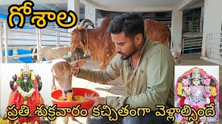 గోశాల || Goshala lower tankbund || Kavadiguda Goshala || Hyderabad Goshala || Biggest Goshala