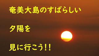 そうだ。奄美大島の素晴らしい夕陽を見に行こう！！