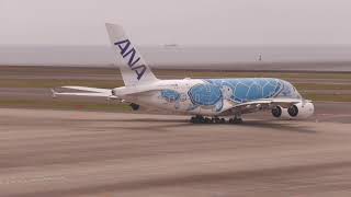 ANA「FLYING HONU」撮影大失敗離陸撮れず着陸のみ;´д｀トホホ　セントレア